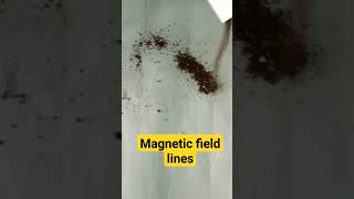 Magnetic field lines🔥🔥#shortvideo #shortviral #@VIGYANEXPERT001