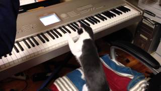 Superman the Cat plays "Deck the Halls"