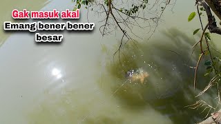 AMAZING..!! Detik Detik Munculnya Ikan Nila Babon Dalam Air  ||Ketapel Ikan