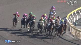 2016,11,12　東京6R 　2歳新馬　フォギーナイト（タイムコード・ヴァーチャルライン入り）