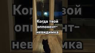 #кто в доме хозяин.