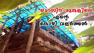 POULTRY FARM ON TERRACE|ട്ടെറസിലെ എന്റെ കോഴി കൃഷി|kozhi valarthal|CJ FARM