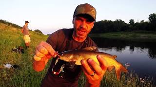 Taquiner le Barbue sur une Eau Miroir, Catfish evening on the Miror River