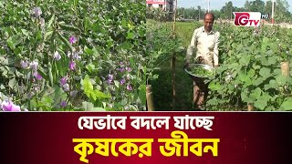 যেভাবে বদলে যাচ্ছে কৃষকের জীবন | Gaibandha Farmer's life | Gtv News