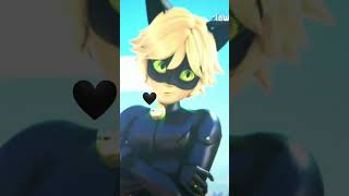 #catnoir #mlb #miraculous #ladybug #shortvideo