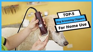 ✅ Best Dog Grooming Clippers For Home Use: Dog Grooming Clippers For Home Use (Buying Guide)