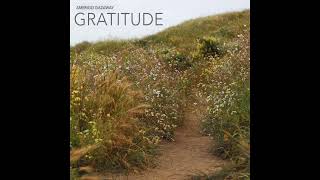 Amerigo Gazaway - Joy︱Gratitude