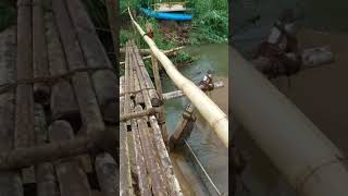 Makeshift Bridge on the way to Sinharaja Rain Forest Reserve - Sri Lanka