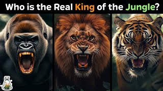 Who Is the Real King of the Jungle?