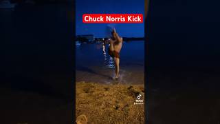 Chuck Norris Kick 🥺