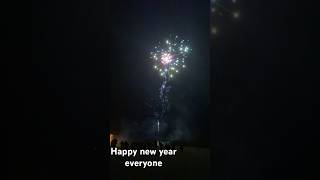 Happy new year #trending #shorts #short #2024