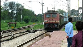 High Speed Train Aggressively overtakes Golden Temple Mail | Indian Railways