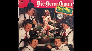 Quiz, Aufpassen, Herr Wirt, Die Kern Buam, Musiwitz 30642, Polydor, Josef Kern