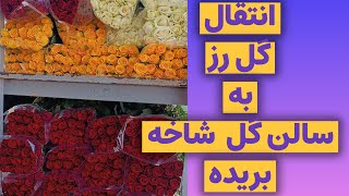 ۲۱ نوامبر ۲۰۲۳بازار بین المللی گل و گیاه سپاهان اصفهان