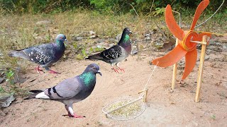 Awesome diy quick bird trap make from old fan - Easy make a bird trap