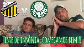 React Novorizontino 0 x 2 Palmeiras - começamos bem o Paulistão 2022 - gols de Dudu e Zé Rafael