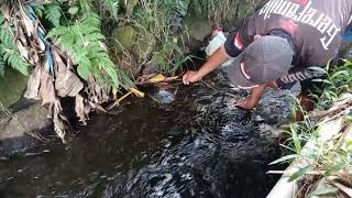 TAK DI DUGA!!!SELOKAN KECIL SAMBARAN SIDATNYA MENGERIKAN