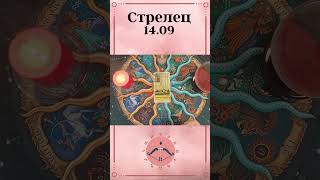 Стрелец, карта дня таро  Расклад таро онлайн на 14 сентября