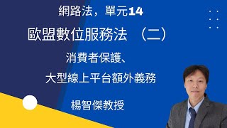 網路法，單元14：歐盟數位服務法（二）消費者保護、大型線上平台額外義務