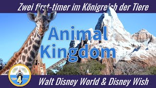 First Timer im Animal Kingdom in Walt Disney World: erlebt den Park mit Tobi & Sabbel | Wish4Travel