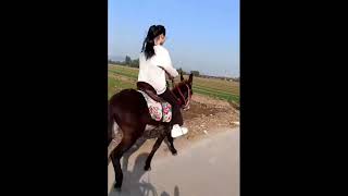 Girl riding a galloping donkey #donkey #donkeyriding #sheep #goatriding #Buffaloriding