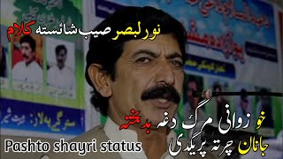 noor ul basar poetry| Pashto poetry status| Pashto motivational poetry