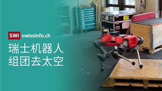 登月机器人学步