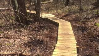 Frank Knowles/Little River Reserve Boardwalk