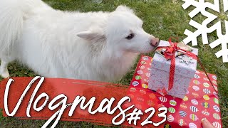 Das verschenke ich zu Weihnachten + Wiedersehen mit Jasmin / #VLOGMAS TAG 23