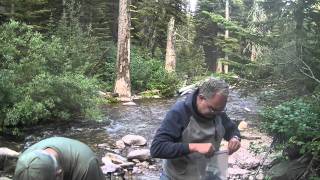 WC Hiking Club Two Medicine Lake to No Name Lake i