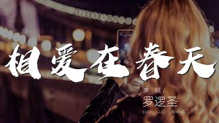 相愛在春天 - 羅邏聖『啦啦啦啦啦啦啦啦啦啦』【動態歌詞Lyrics】