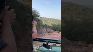 Ranthambore National Park