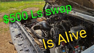 $500 Ls swap c10 Is alive