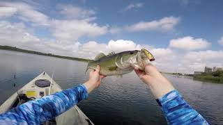 Froggin and Flippin the Reeds on Decker Lake