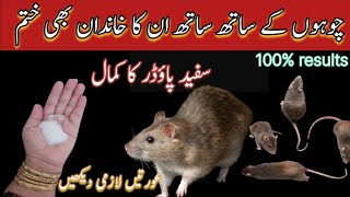 Chohay marne ka tarika |chohain gher se bhagane ka tarika |HomemadeRat / Mouse killer remedy by amna