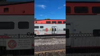 SPEEDING RAILFANNING CALTRAIN #shorts