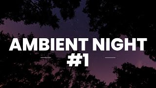 🎸 Ambient Night #1 🌕