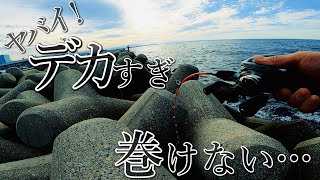 【穴釣り】引きがヤバすぎる化け物が来ました