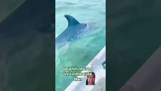 Cute dolphin rescued by kindhearted man and they have bond to each other