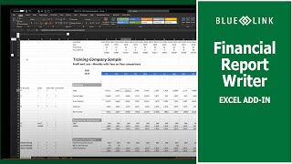 Customer Training Session: Blue Link Financial Report Writer - Excel Add-in [REPORTING DEMO]