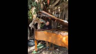 Kris Nicholson at Flower 2024 Piano Video 3