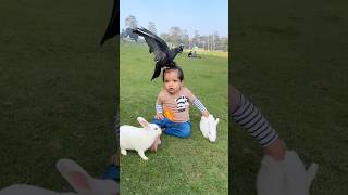 #baby #babyfunny #funny #funnyvideo #birds