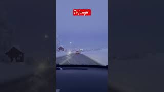 Driving to the jungle in winter #viral ##christmas #winter #2024