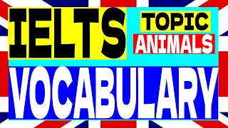 IELTS Vocabulary topic animals part 1 #6