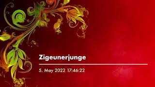 Zigeunerjunge DUETT Text (R.G.'s Cover)