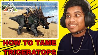 Finally I Tame Dengerous Triceratops Ark Mobile