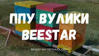 ППУ вулики BeeStar пінополіуретанові вулики - найкращий подарунок пасічнику