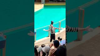 #funny #funnyvideo #seaworld #seaworldmime