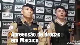 Apreensão de drogas em Macuco