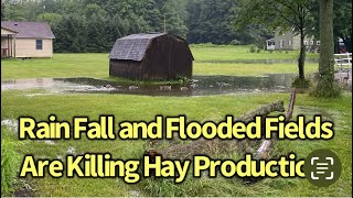 Standing Water in Hay Fields May Stop Hay Production